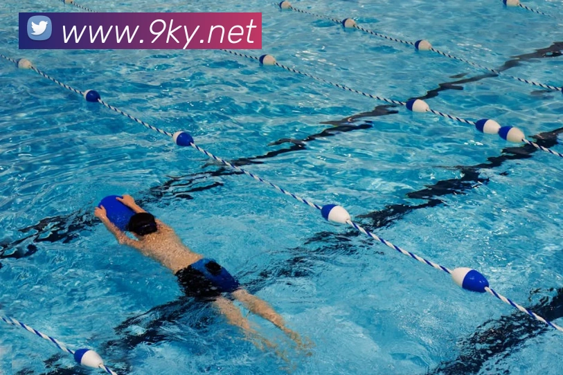 beat365最新网站链接平台生态图